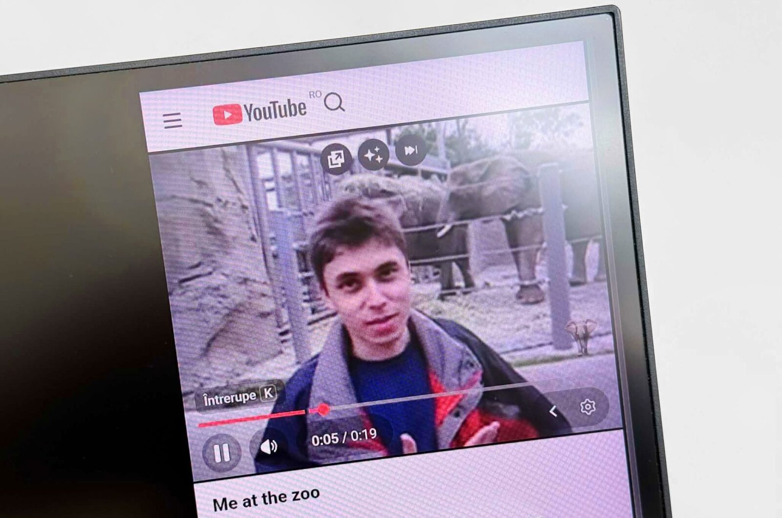 Un site simplu a cucerit planeta: Arhiva video URIAȘĂ