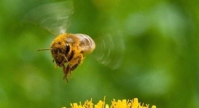 Cer senin dimineața, dar vremea se strică: ploi și vânt puternic anunțate București – Românii se vor bucura de o dimineață cu cer senin pe arii mai extinse, dar vremea se va schimba radical, cu înnorări, ploi și vânt puternic, prognoza meteo anunțând o deteriorare a vremii începând de joi