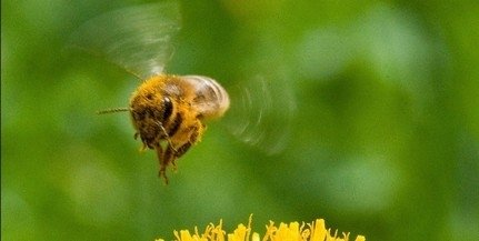 Melegszik az idő, akár húsz fok is lehet csütörtökön!