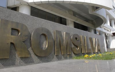 Sindicaliștii din Silvicultură Contestă Reorganizarea Romsilva în Instanță București – Federația Sindicatelor Silva a deschis un proces la Curtea de Apel București, solicitând suspendarea măsurilor de reorganizare a Regiei Naționale a Pădurilor – Romsilva