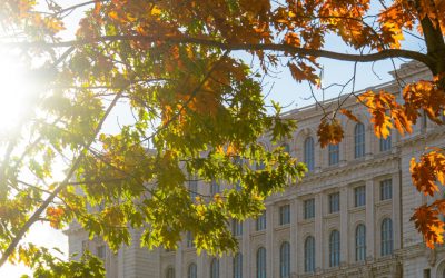 Primăria Capitalei înființează refugii anti-caniculă în București Primăria Municipiului București pregătește înființarea unei rețele extinse de refugii anti-caniculă, un proiect menit să ofere adăpost gratuit locuitorilor în perioadele de temperaturi extreme