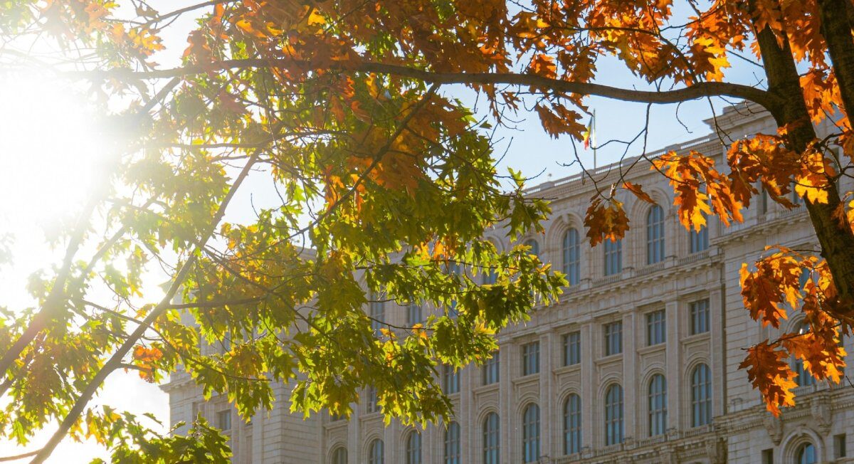 Primăria Capitalei înființează refugii anti-caniculă în București Primăria Municipiului București pregătește înființarea unei rețele extinse de refugii anti-caniculă, un proiect menit să ofere adăpost gratuit locuitorilor în perioadele de temperaturi extreme