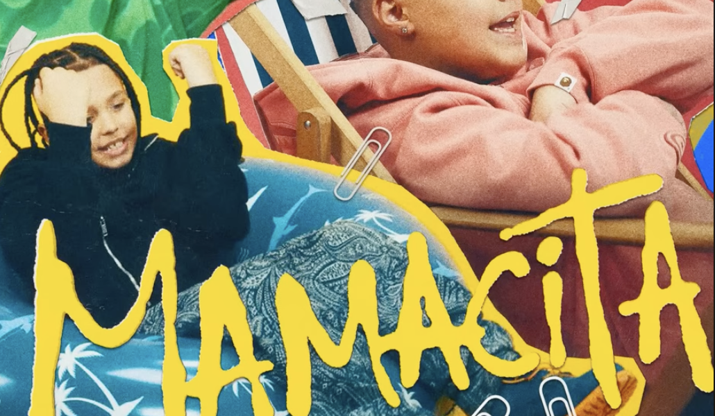 Frații Velea, criticați dur pentru versurile lor controversate