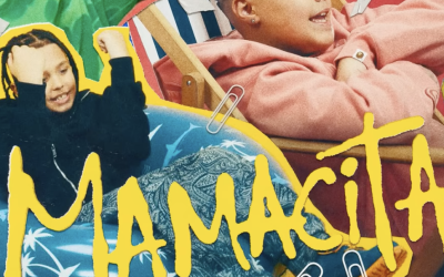 Frații Velea, criticați dur pentru versurile lor controversate