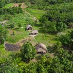 Antice drumuri, vechi de 2.700 de ani, descoperite în Amazon