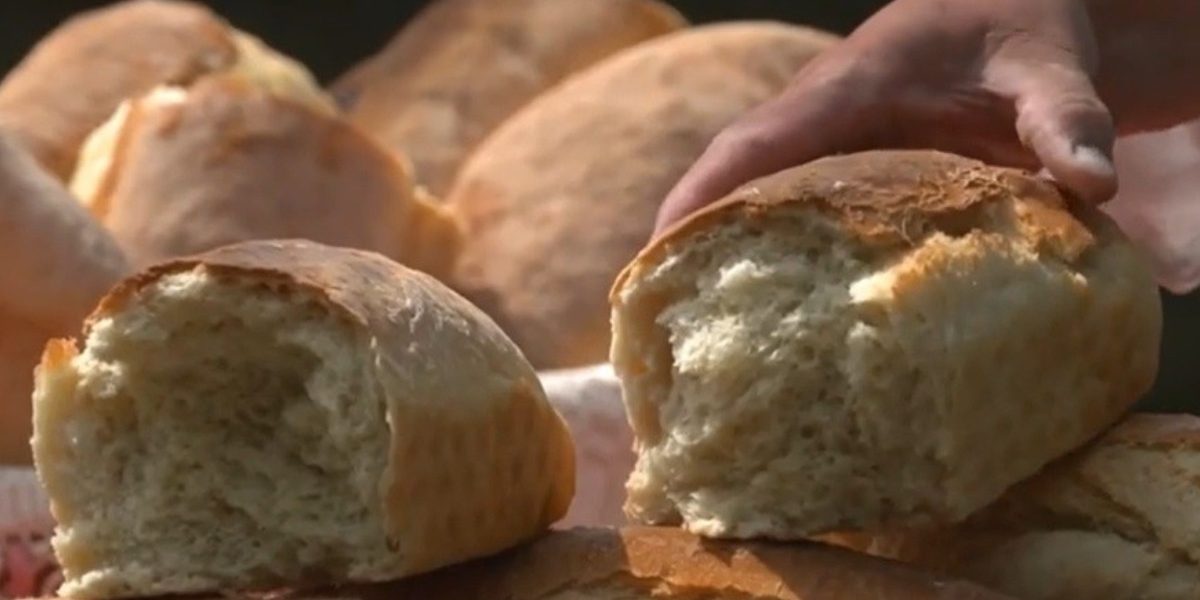 Banatul, „Regiune Gastronomică Europeană” în 2028