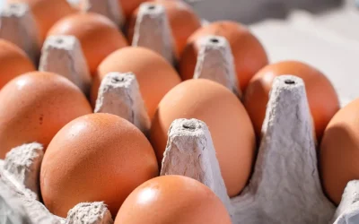 Ouăle, vedetele cumpărăturilor de Paște: Unde găsești cele mai bune prețuri În prag de sărbători, ouăle devin un produs de bază în coșul de cumpărături al românilor