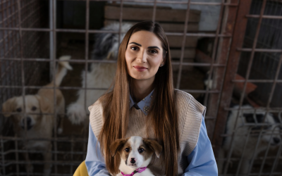 Scandalul „abatoarelor de câini” și externalizarea serviciilor de gestionare a animalelor fără stăpân au scos la iveală, pe lângă cruzimea imaginilor devenite virale, un sistem public defectuos