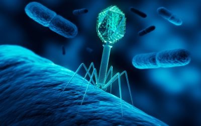 Virusurile, „purtătoare de cuvânt” care ascultă conversațiile altora Un studiu recent arată că virusurile, la fel ca alte organisme vii, par să folosească informații din mediul înconjurător pentru a lua decizii