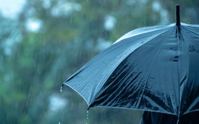 Vremea se înrăutățește: Ploi, vânt puternic și ninsori la munte în următoarele zile Bucureștenii și locuitorii din majoritatea zonelor țării se pregătesc pentru o perioadă de vreme instabilă, conform Administrației Naționale de Meteorologie (ANM)