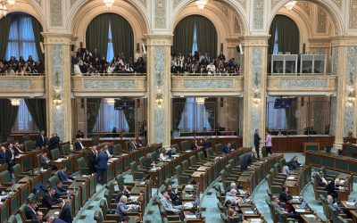 Haos în Senat: Votul alcoolului pe stadioane, reacții dure