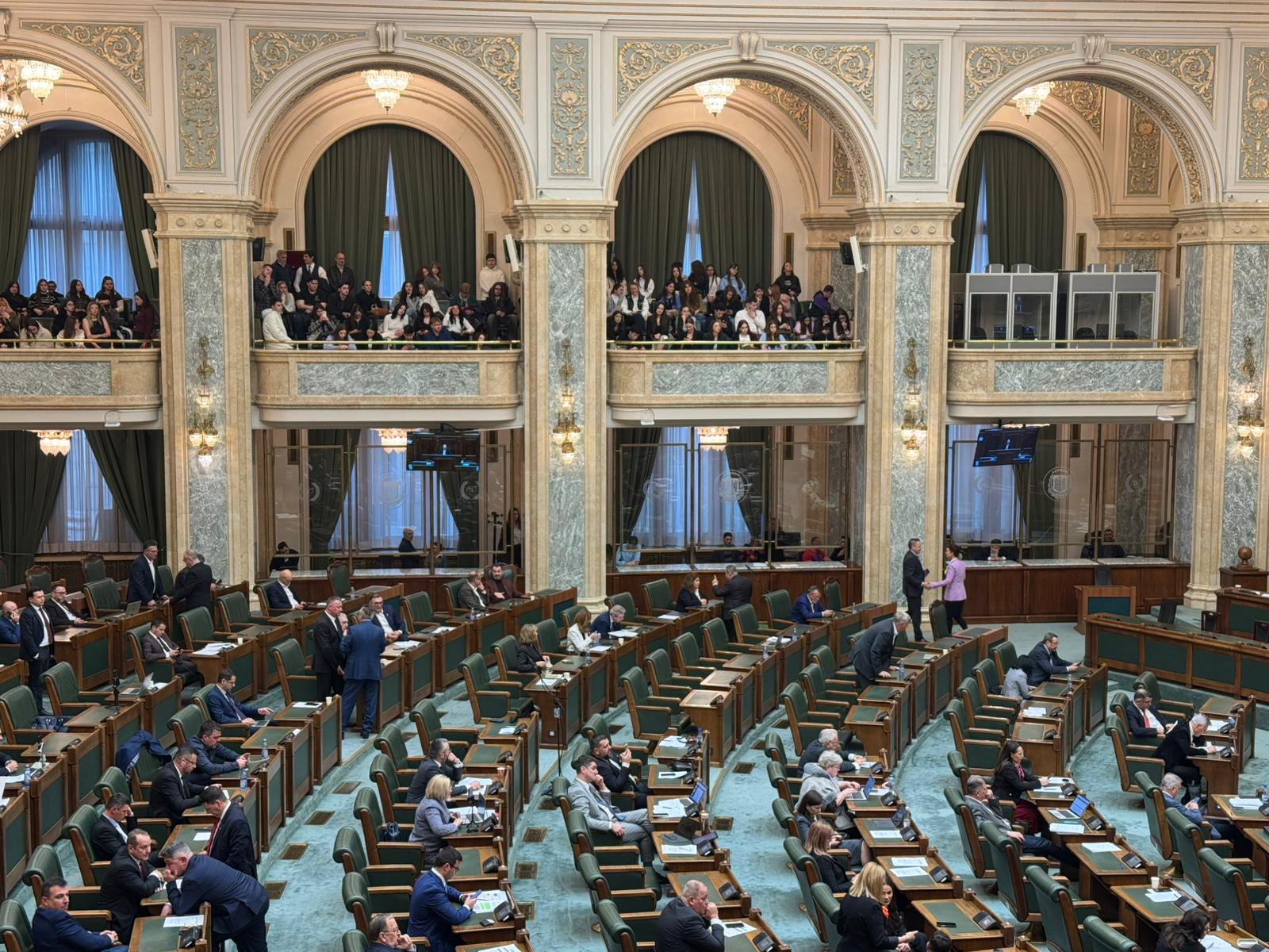 Haos în Senat: Votul alcoolului pe stadioane, reacții dure