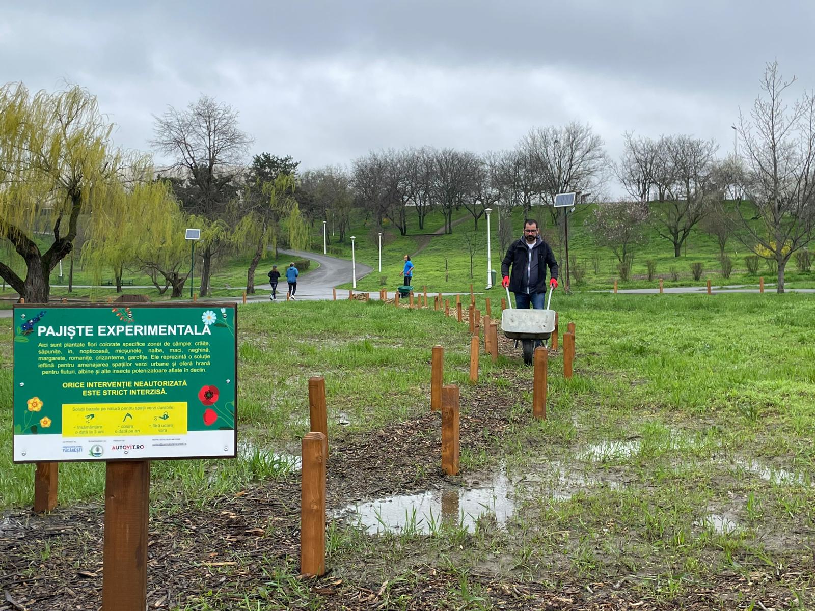 În Parcul Tineretului, ploia a alungat majoritatea vizitatorilor, dar nu și pe voluntarii Asociației Parcul Natural București