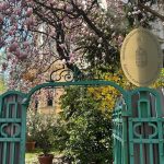 Înfrângerea lui Viktor Orban, văzută din inima capitalei: Reacții la Ambasada Ungariei din București