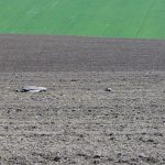 Alte resturi de dronă, găsite între Văcăreni și Luncavița, județul Tulcea