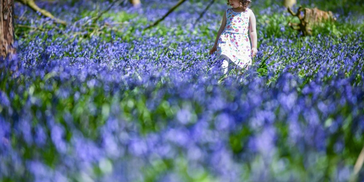 Vremea se încalzește: Meteorologii anunță un martie mai blând decât normal