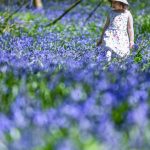 Vremea se încalzește: Meteorologii anunță un martie mai blând decât normal