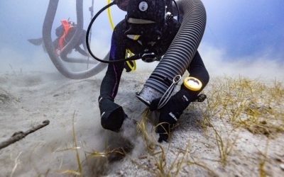 Un fragment din partenon, recuperat după două secole din epava navei lui lord elgin Un fragment dintr-o sculptură a Partenonului a fost recuperat din epava navei „Mentor” a lui Lord ELGIN, după mai bine de două secole