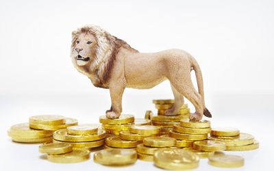 Euro, în ascensiune pe piață: BNR anunță creșteri bruște