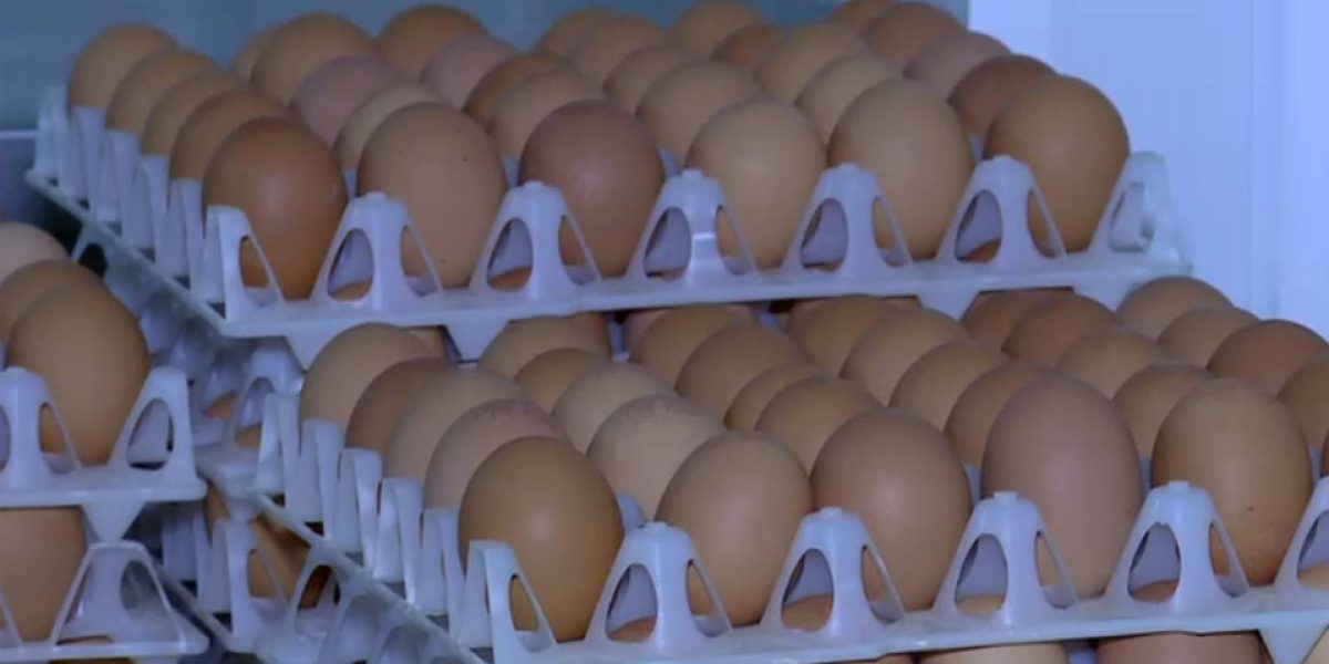 Ouă cu Salmonella retrase: Pericol SANITAR în România de Sărbători!