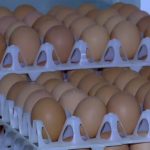 Ouă cu Salmonella retrase: Pericol SANITAR în România de Sărbători!