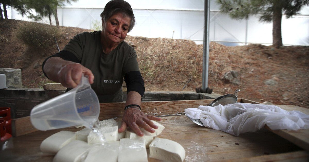Halloumi în pericol: Fermierii ciprioți, loviți de epidemie. Soluția, la turci