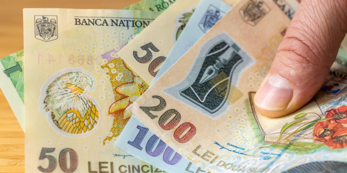 Banca Națională, anchetă amplă: 12.000 de gospodării, radiografiate financiar