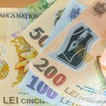 Banca Națională, anchetă amplă: 12.000 de gospodării, radiografiate financiar