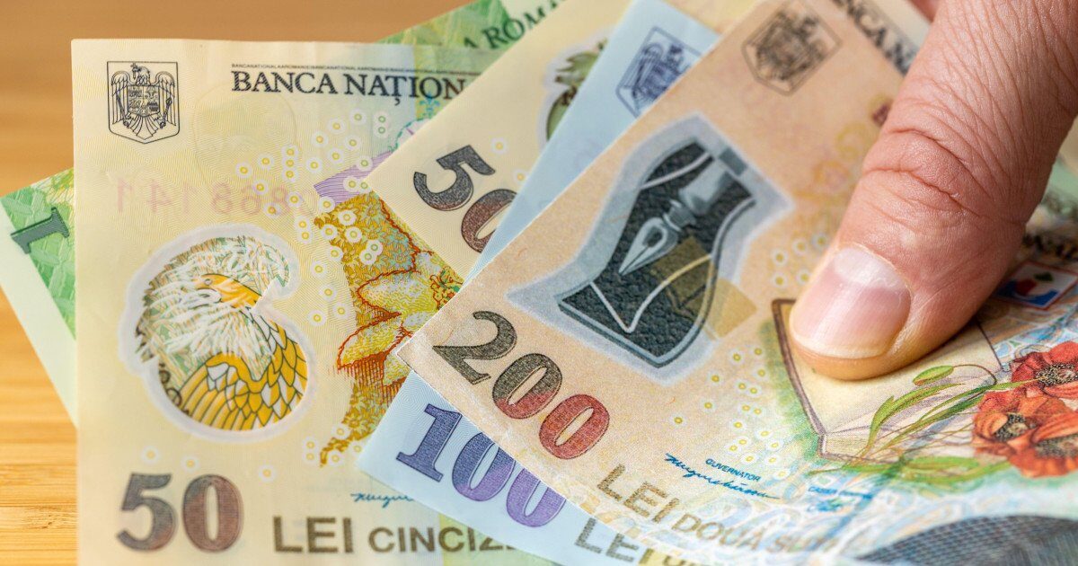 Banca Națională, anchetă amplă: 12.000 de gospodării, radiografiate financiar