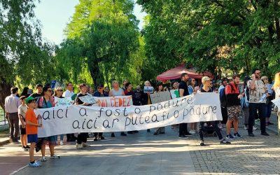 Afla ce-ți trebuie: Civism, lecții din cinci cartiere ale Bucureștiului
