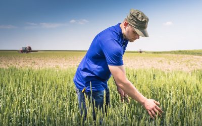 Criza îngrășămintelor: Fermierii cer la Bruxelles măsuri urgente