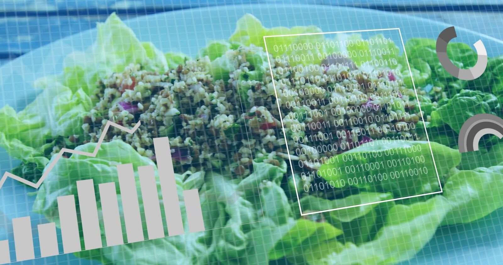 Cum ne schimbăm dieta, de la bebeluș la senior: Ghid complet