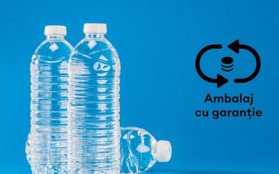 Un bărbat din Botoșani, prins că falsifica etichete pentru ambalajele cu garanție, a fost plasat sub control judiciar