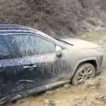 Jandarmii, eroii GPS-ului: Au salvat o familie blocată în noroi