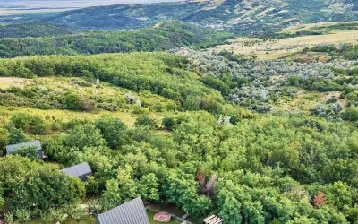 Arta Chalet: Cum a prins viață refugiul din Dealu Mare, România