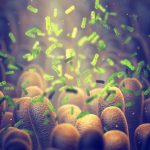 Bacterie-Ucigaș: Cercetătorii au creat arma secretă anti-cancer