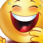 Ursul și vulpea, prietenie neașteptată în pădure: Bancul zilei