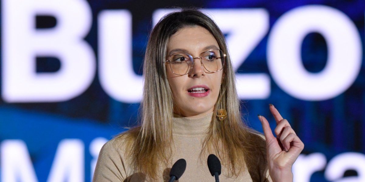 Ministerul Mediului, victorie în instanță pe tema drumului din Pădurea Băneasa