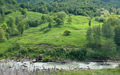 Weekend de vis: Check-in în România. Ai auzit de Gura Teghii?