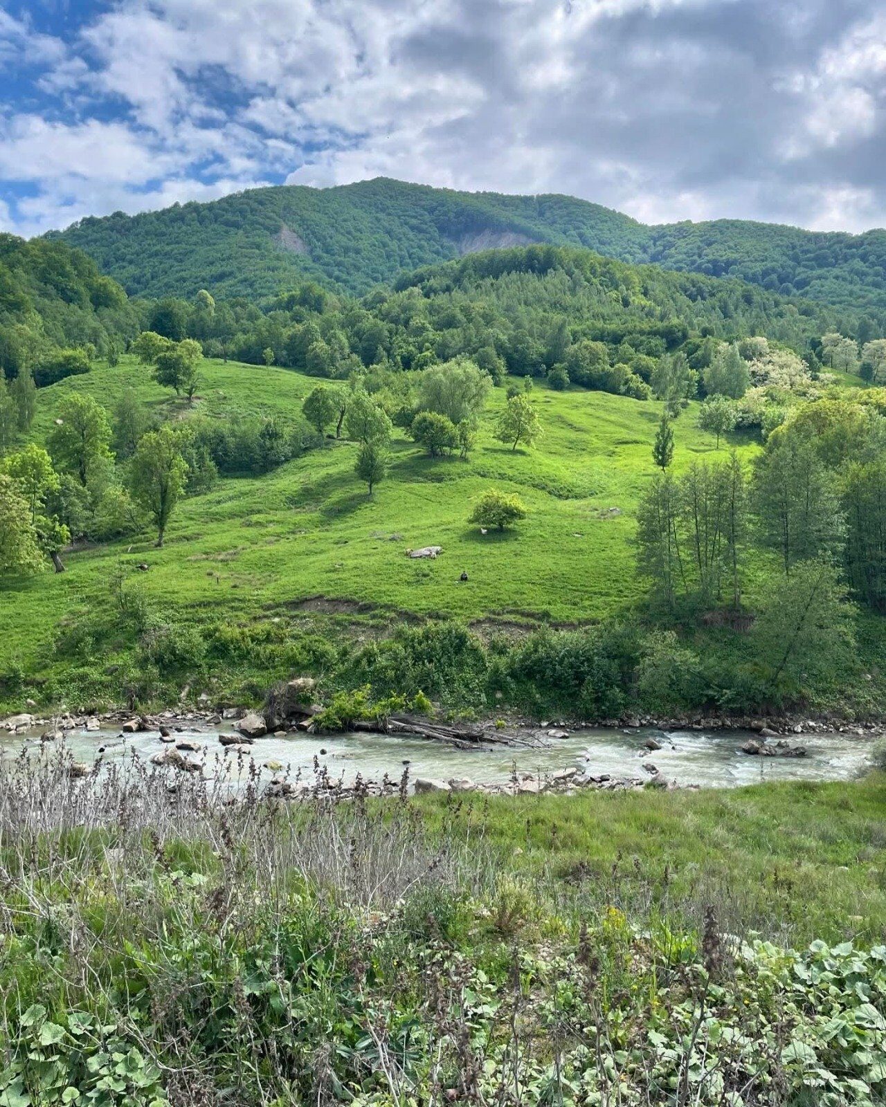 Weekend de vis: Check-in în România. Ai auzit de Gura Teghii?