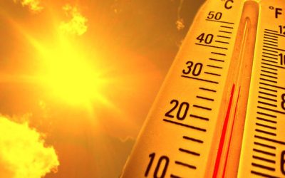 Kokushobi: Japonia, în CANICULĂ extremă. 40 de grade Celsius