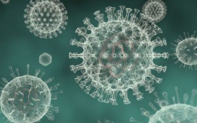 Moartea Celulară dezvăluie secrete despre sistemul imunitar și infecții virale Un nou studiu științific arată că celulele, chiar și după moarte, lasă în urmă „amprente” biologice care influențează procese esențiale în organism