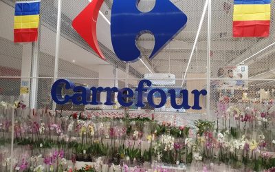 Marile centre comerciale și magazinele își modifică programul de Paște În apropierea sărbătorilor pascale, românii trebuie să fie atenți la programul magazinelor și mall-urilor