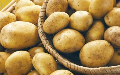 Primăriile din Vrancea, sprijin pentru comunitățile vulnerabile cu donații importante de cartofi Mai multe primării din județul Vrancea vin în sprijinul persoanelor aflate în nevoie, distribuind cantități semnificative de cartofi