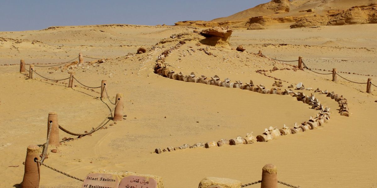 Un eveniment antic a dus la declinul Egiptului Antic acum 4200 de ani