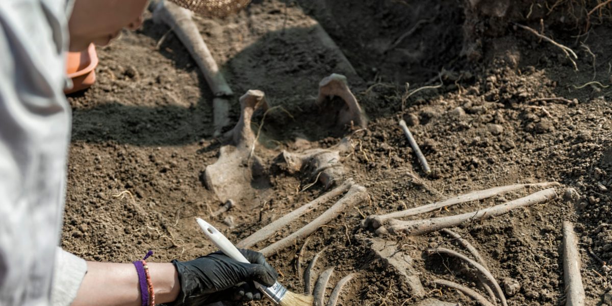 Peisaj antic: Oameni din urmă cu 100.000 de ani, dezvăluiți de istorie