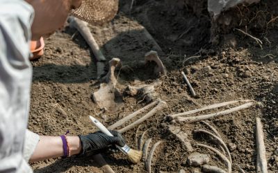 Peisaj antic: Oameni din urmă cu 100.000 de ani, dezvăluiți de istorie