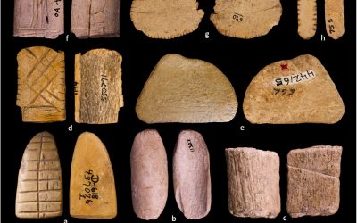 Descoperirea uimitoare: Zarurile, mai vechi decât credeam Un nou studiu sugerează că zarurile, obiecte asociate adesea cu jocurile de noroc și cu istoria Lumii Vechi, ar putea avea o vechime mult mai mare decât se estima anterior