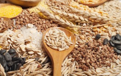 Cerealele integrale, reconsiderate: Un studiu sugerează o legătură neașteptată cu declinul cognitiv Un nou studiu realizat de specialiști din întreaga lume a ridicat semne de întrebare asupra efectelor cerealelor integrale, alimente considerate în general extrem de benefice pentru sănătate