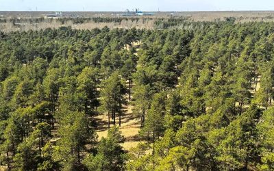 Deșertul taklamakan, noua „plămân” a planetei: Absoarbe co₂